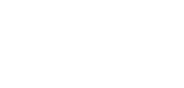 Firma Style